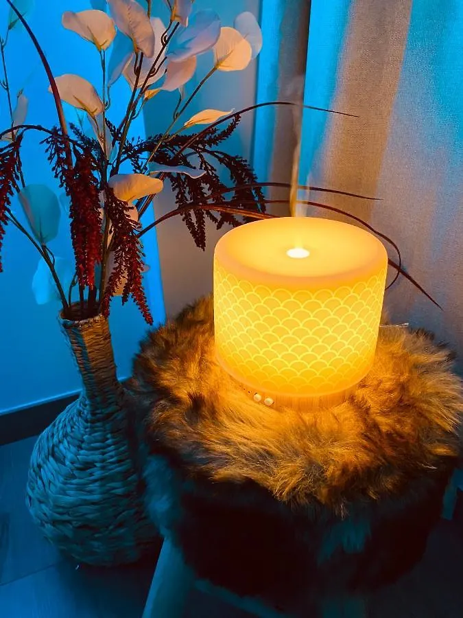 Appartement Zen Duplex à Liège Belgique